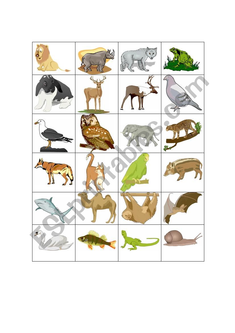 wild animals worksheet