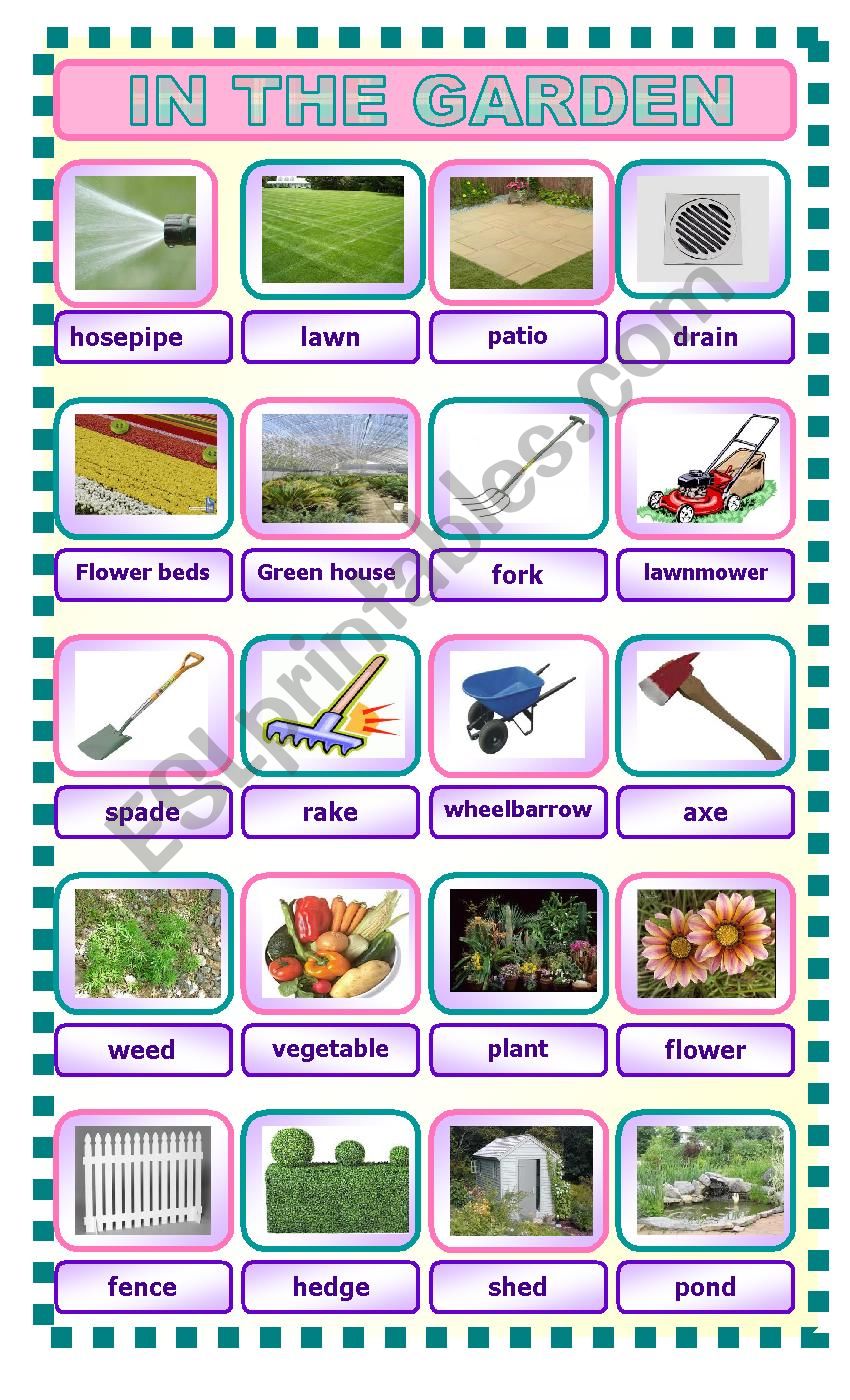 in the garden pictionary worksheet
