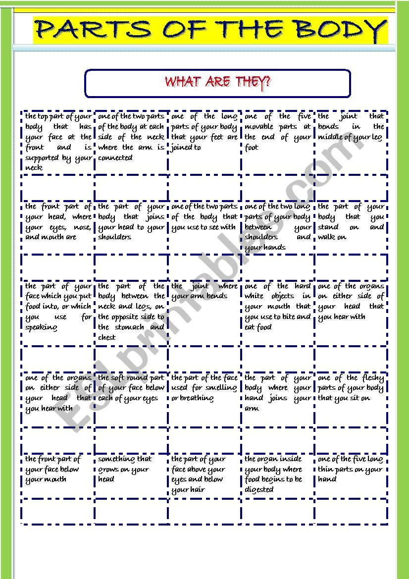 Parts of the body worksheet