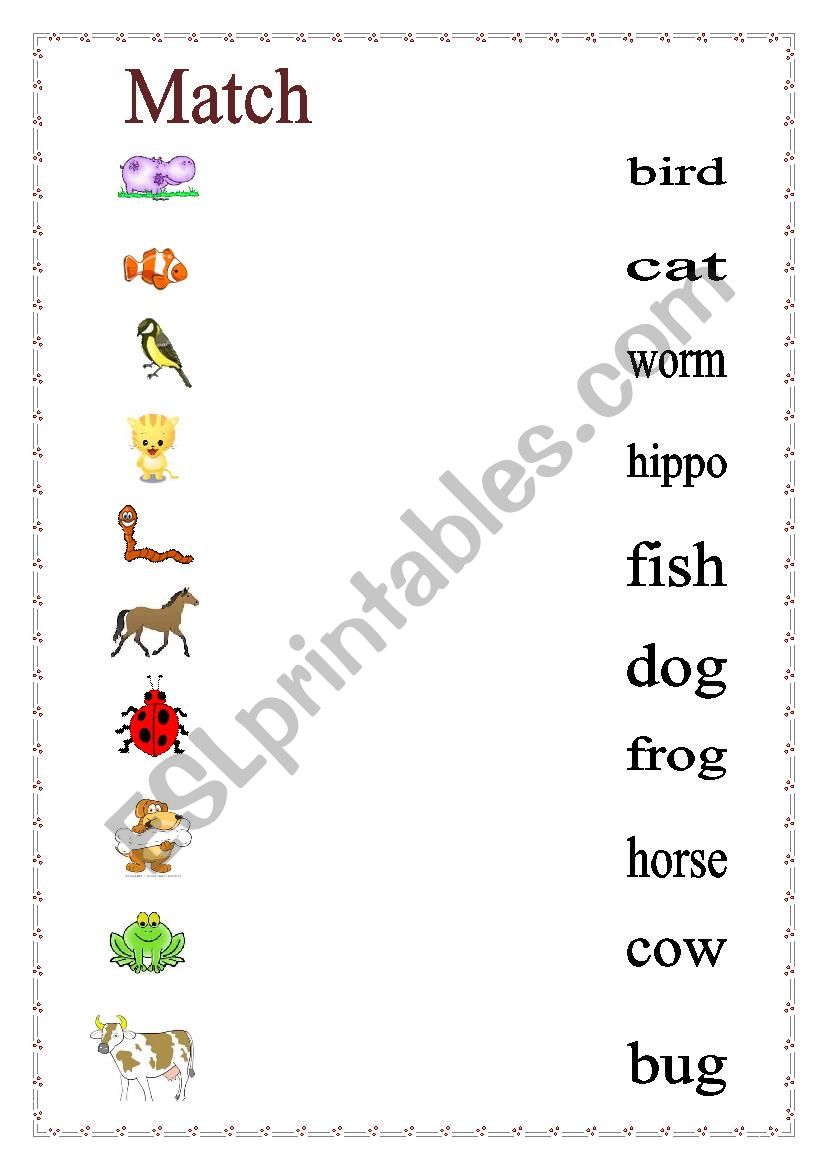 animals worksheet