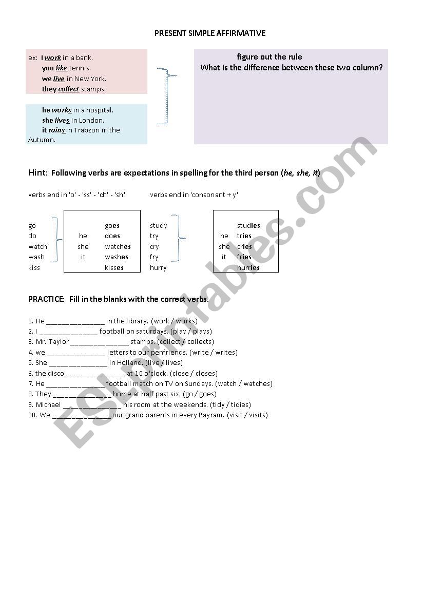 present simple worksheet