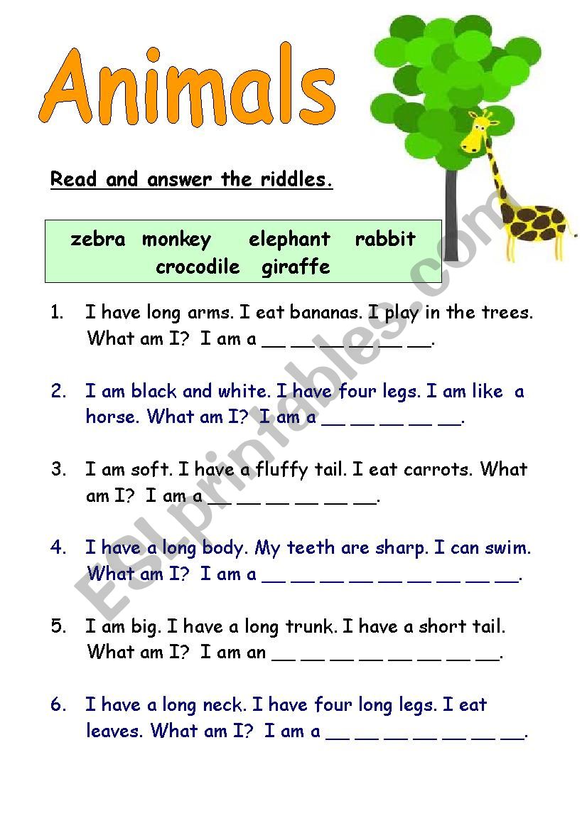 Animal Riddles worksheet