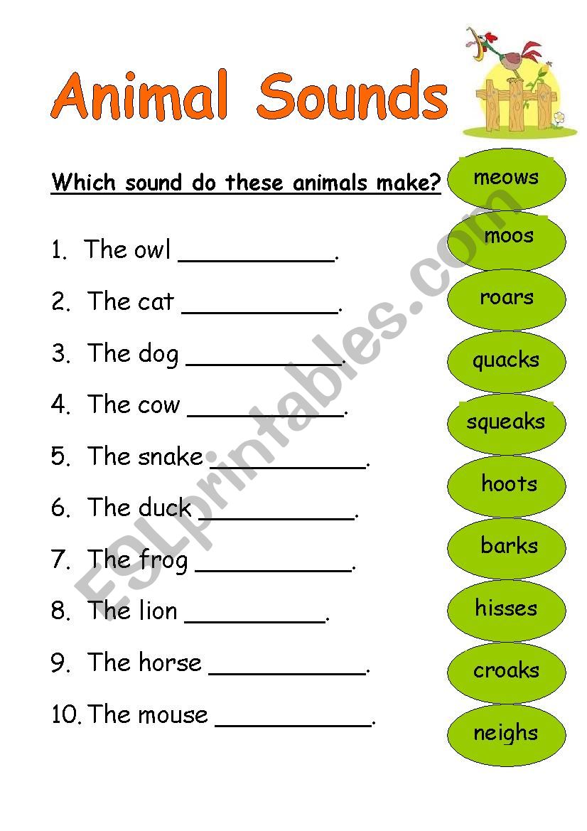 Animal Sounds worksheet