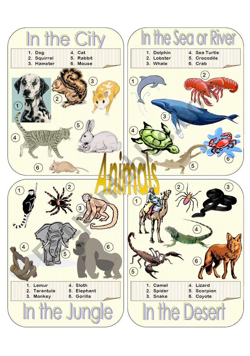 Animals Picture Dictionary Part 1 Esl Worksheet By Ichacantero