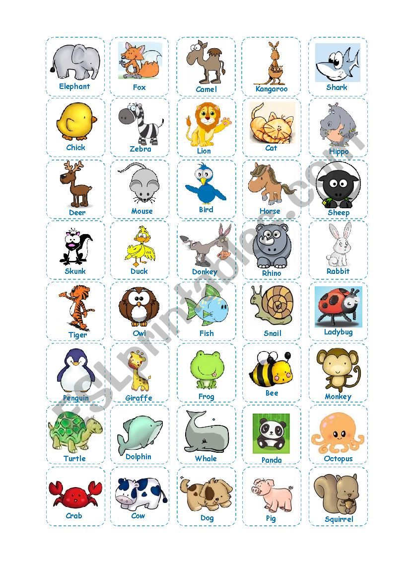 Animal Bingo (Teachers Cards)