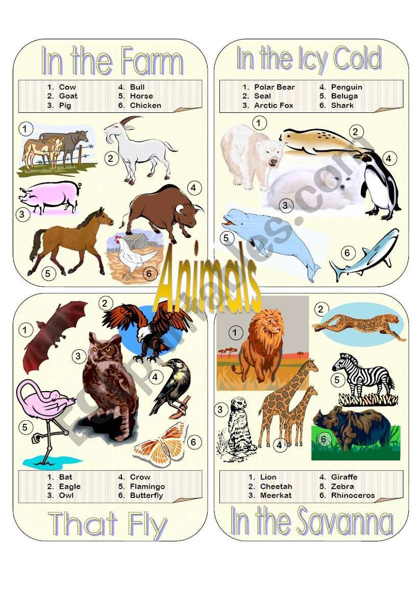 Animals Picture Dictionary Part 2
