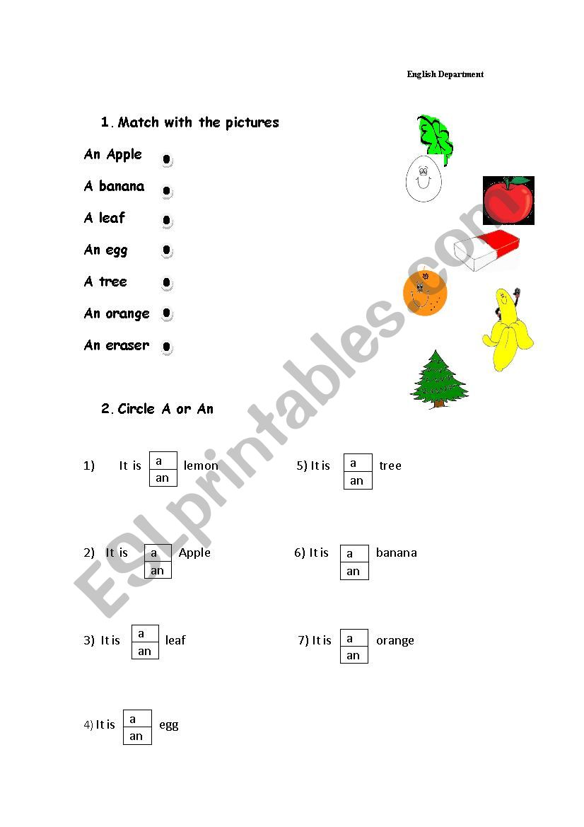 A or An match activity worksheet