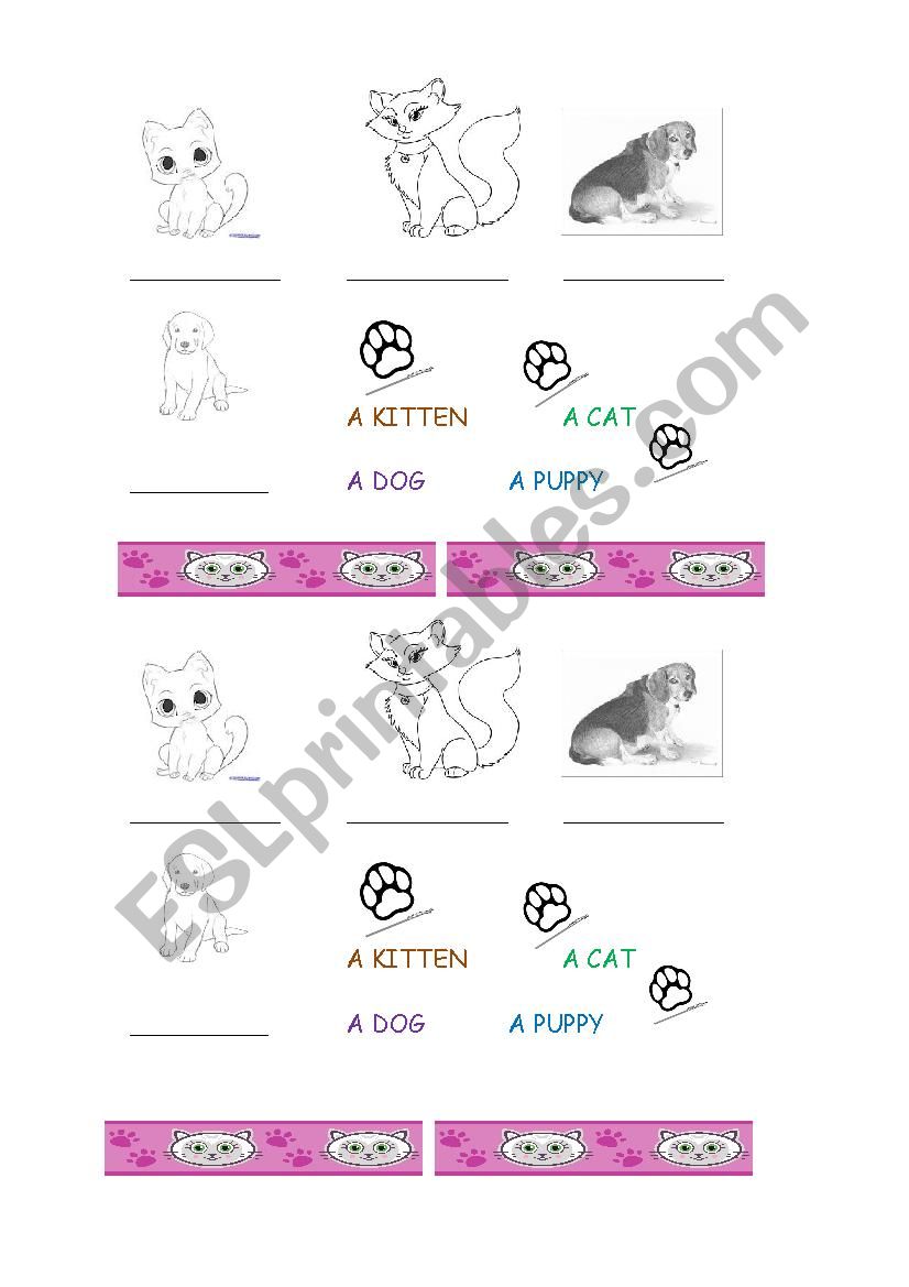 Pets worksheet