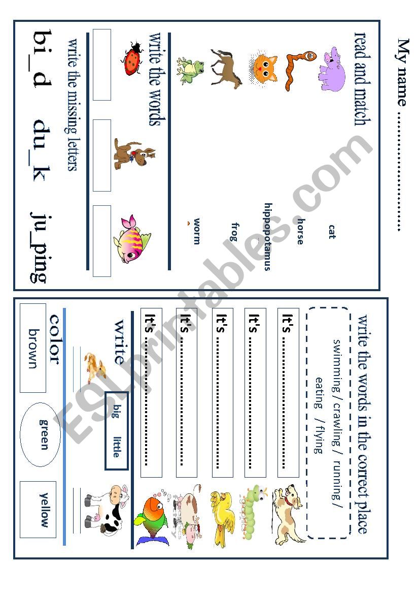 animals worksheet