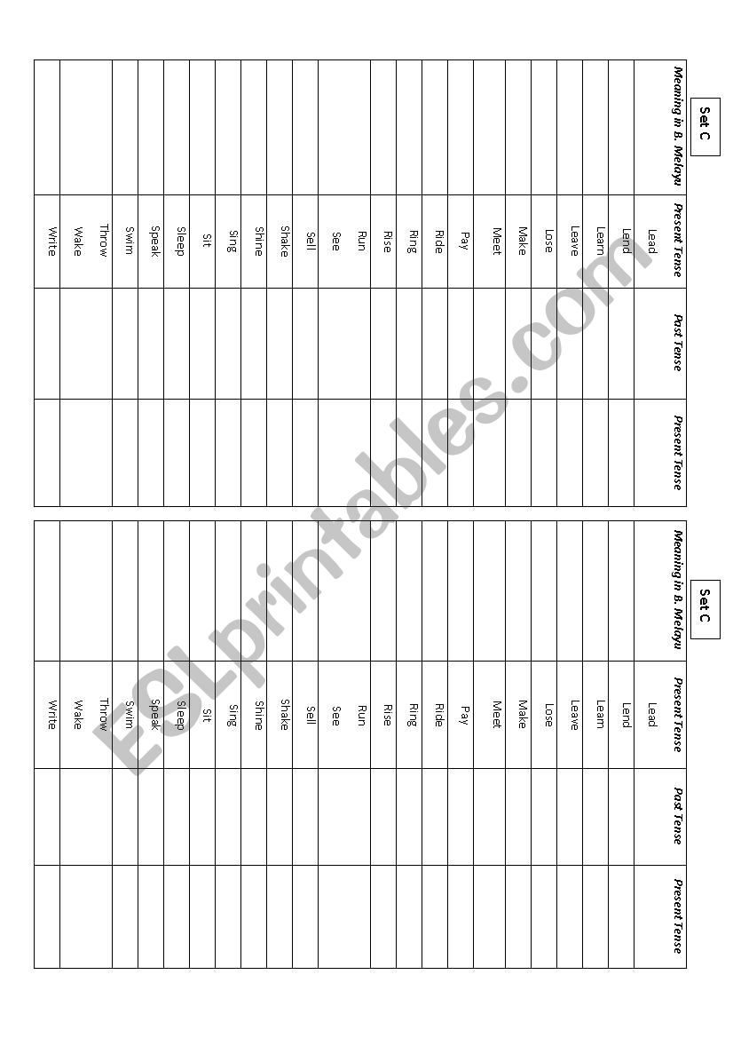 Simple Past Tense 2 worksheet