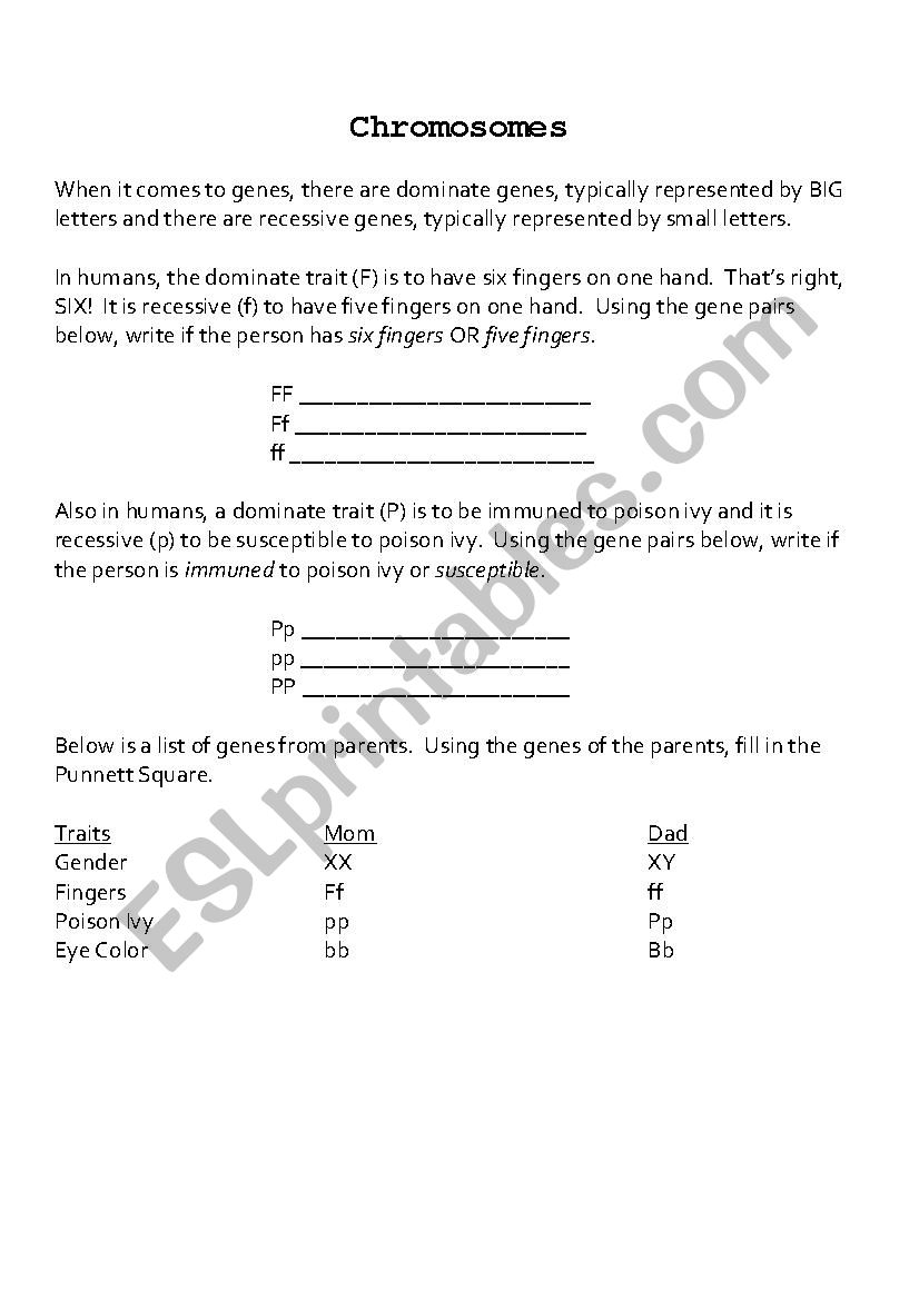 Chromosomes worksheet