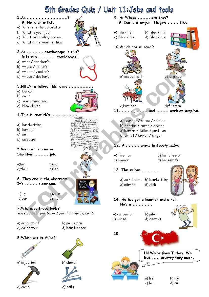 5th Grades Multiple Choice *Whose/Possessive Pronouns/Professional Tools*