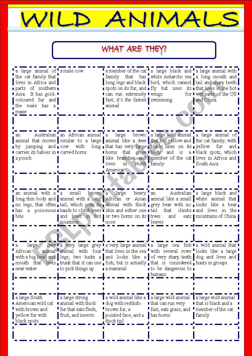 Wild animals worksheet