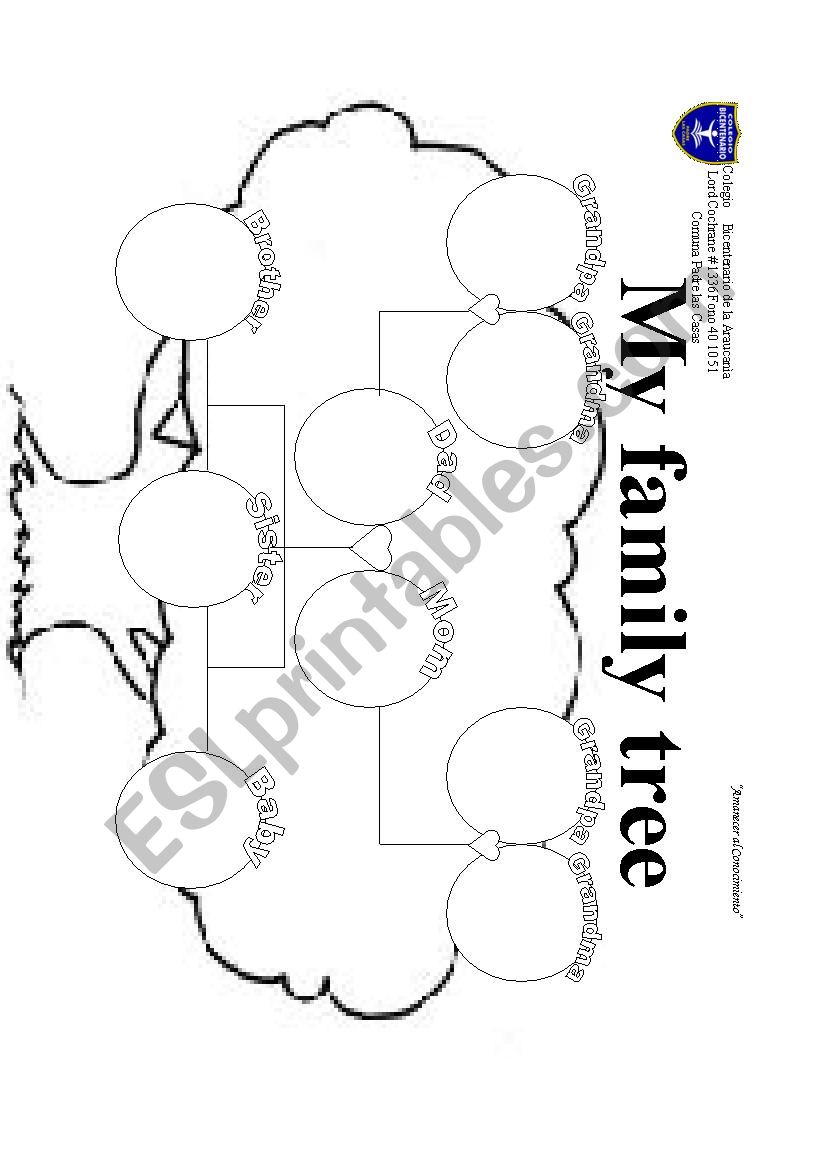 family tree worksheet