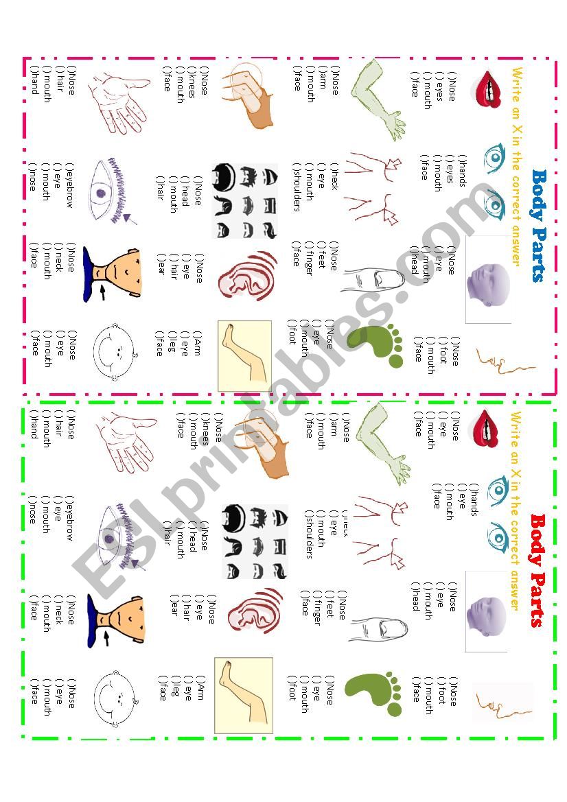 Body Parts worksheet