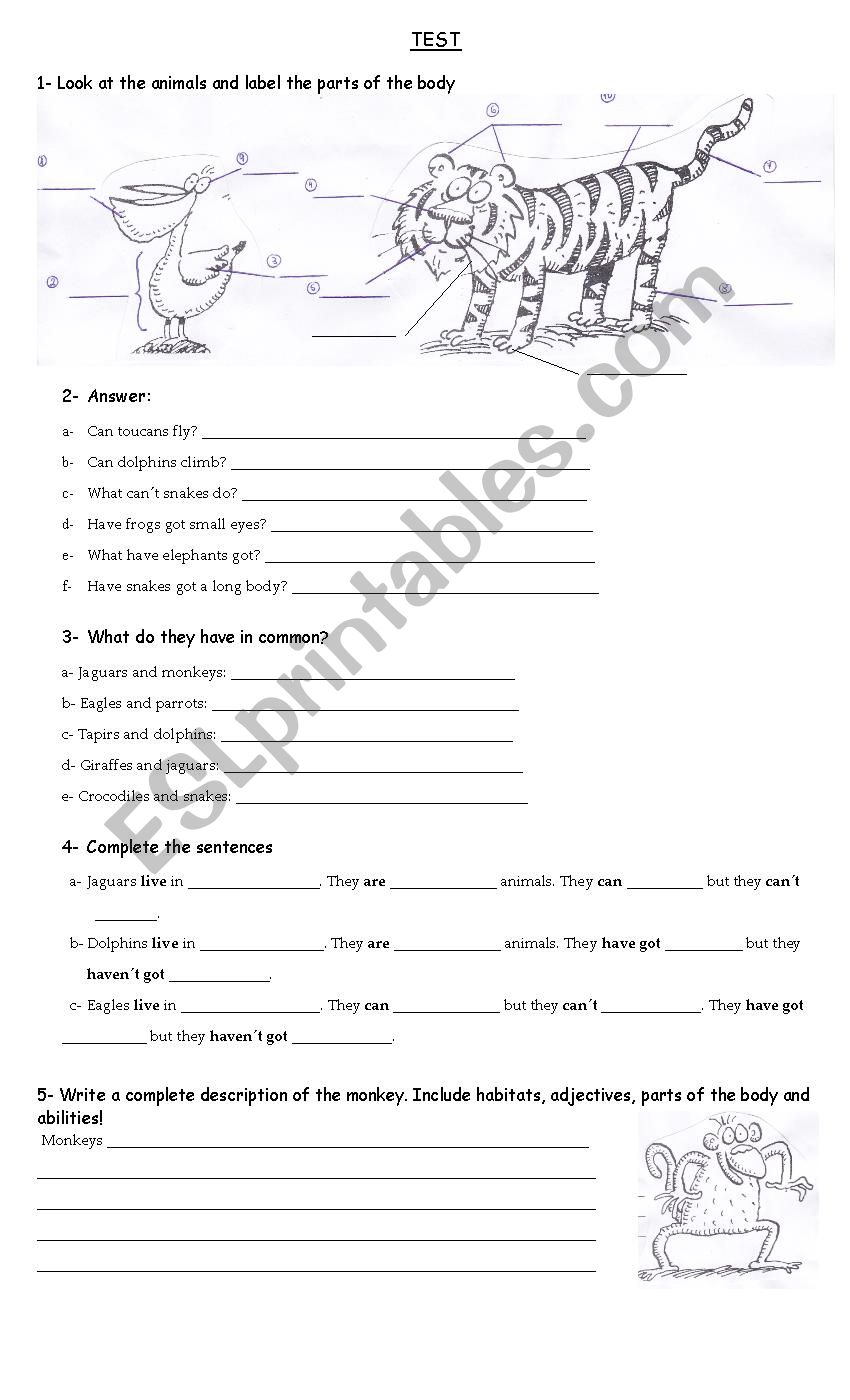 Animals worksheet