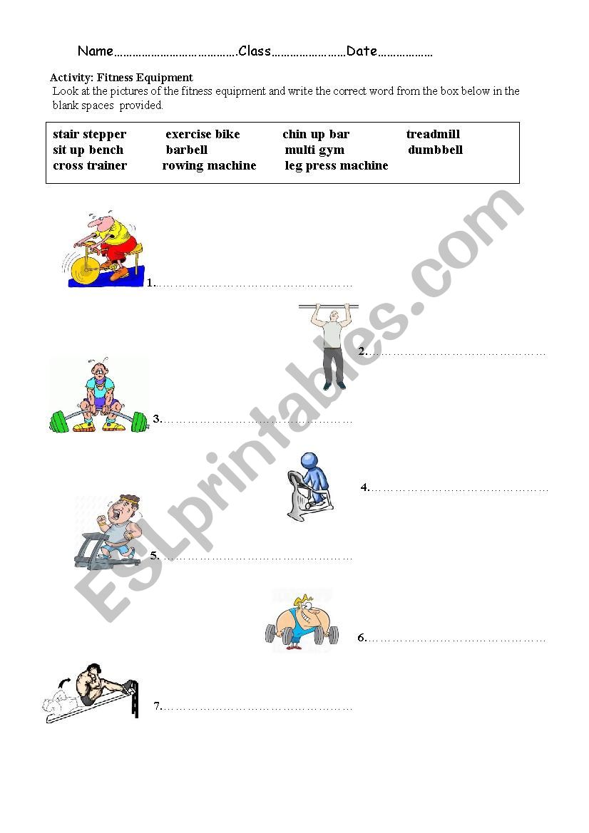 Fitness Equipment worksheet