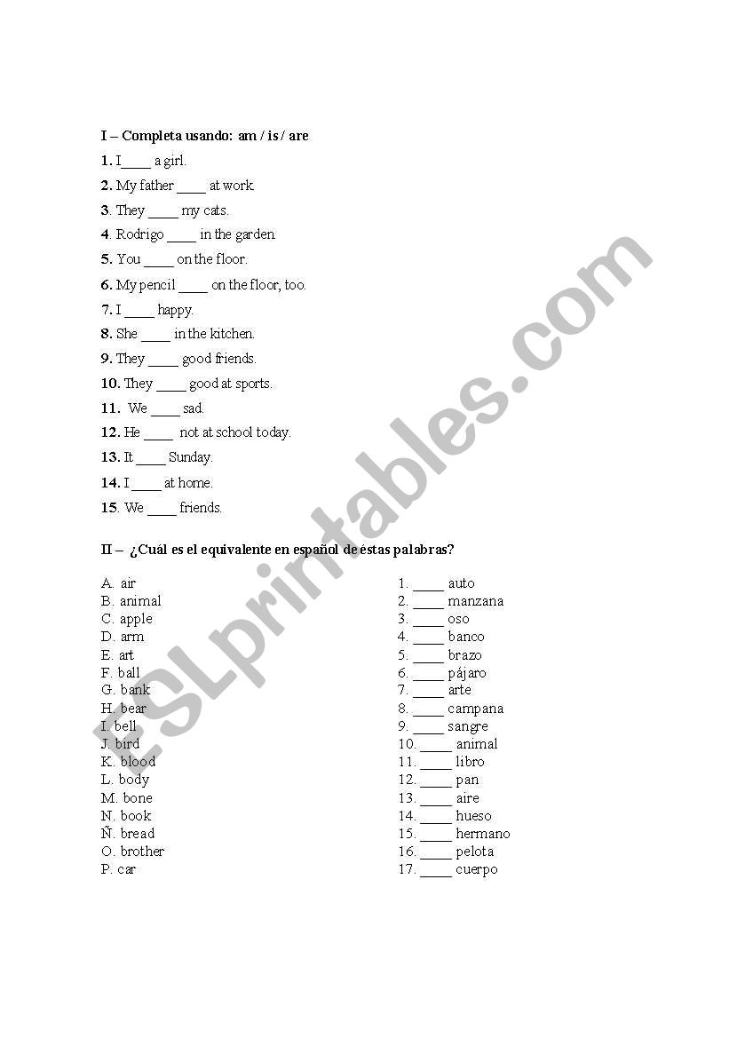 Am Is Are Excersise worksheet
