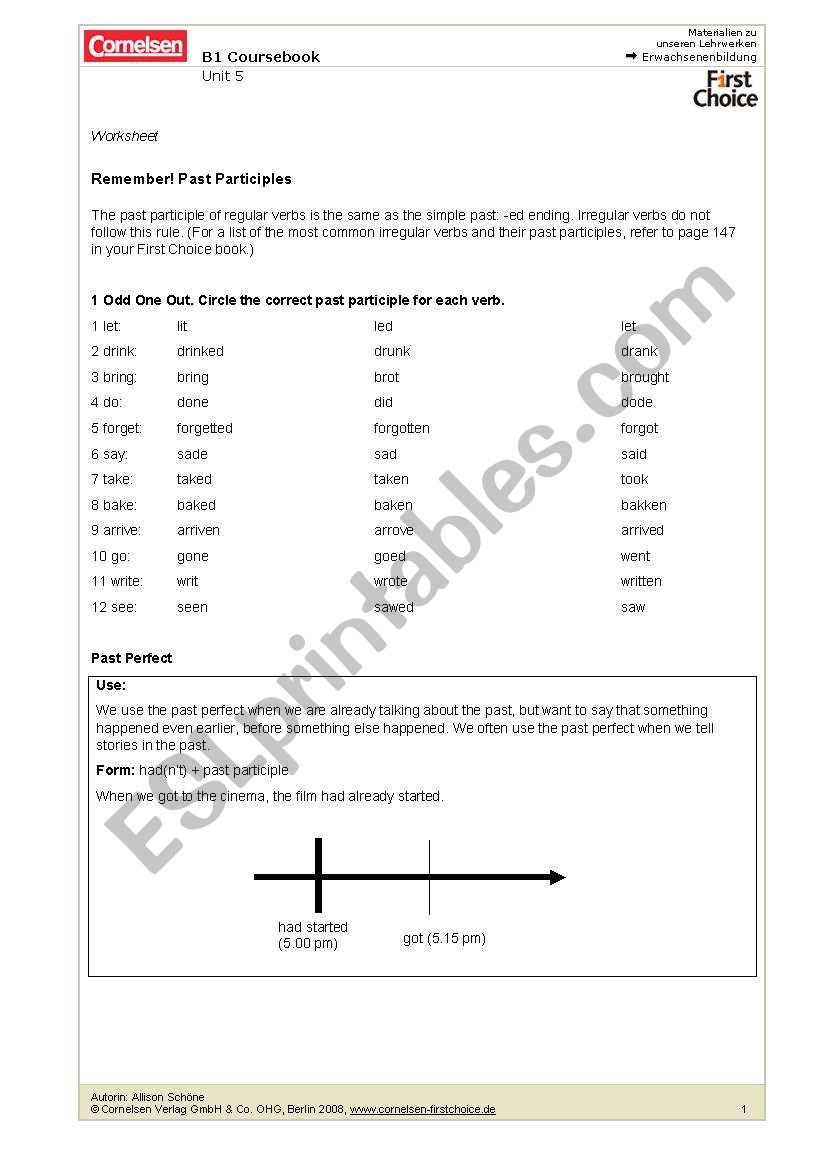 PAST PERFECT worksheet