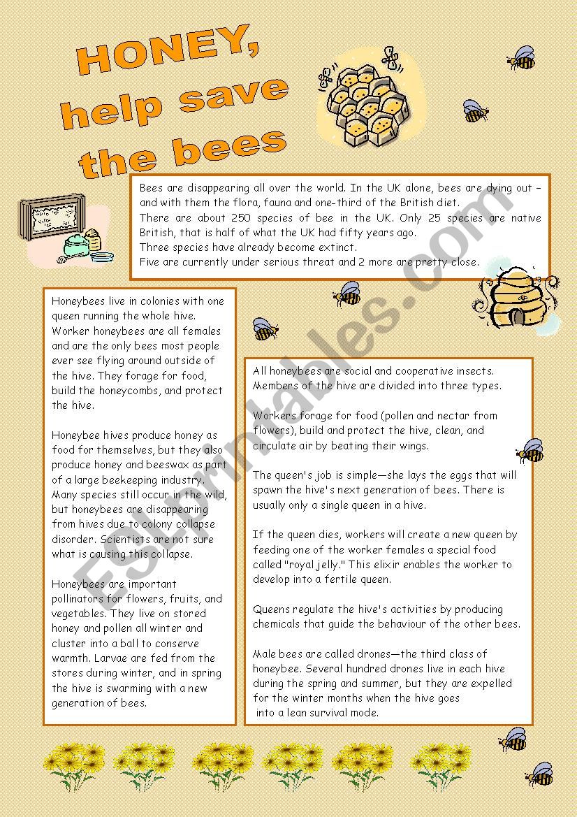 Honey, help save the bees worksheet