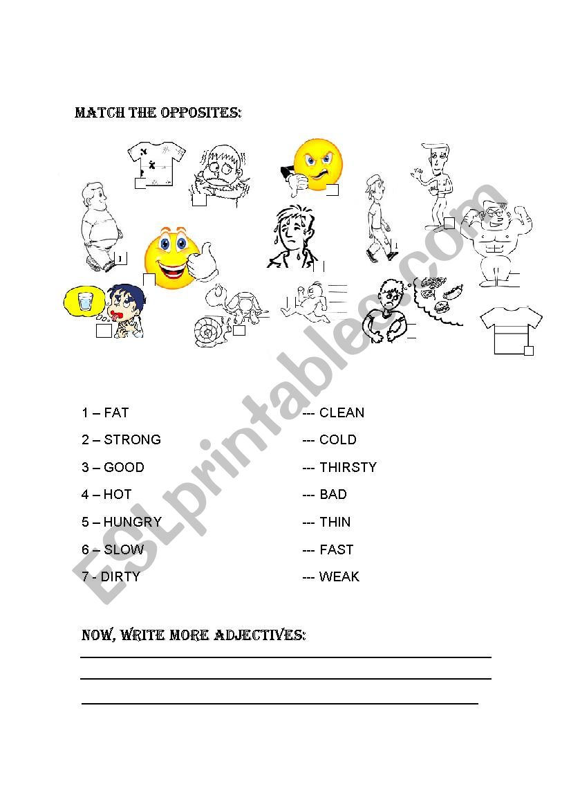 match the opposites worksheet