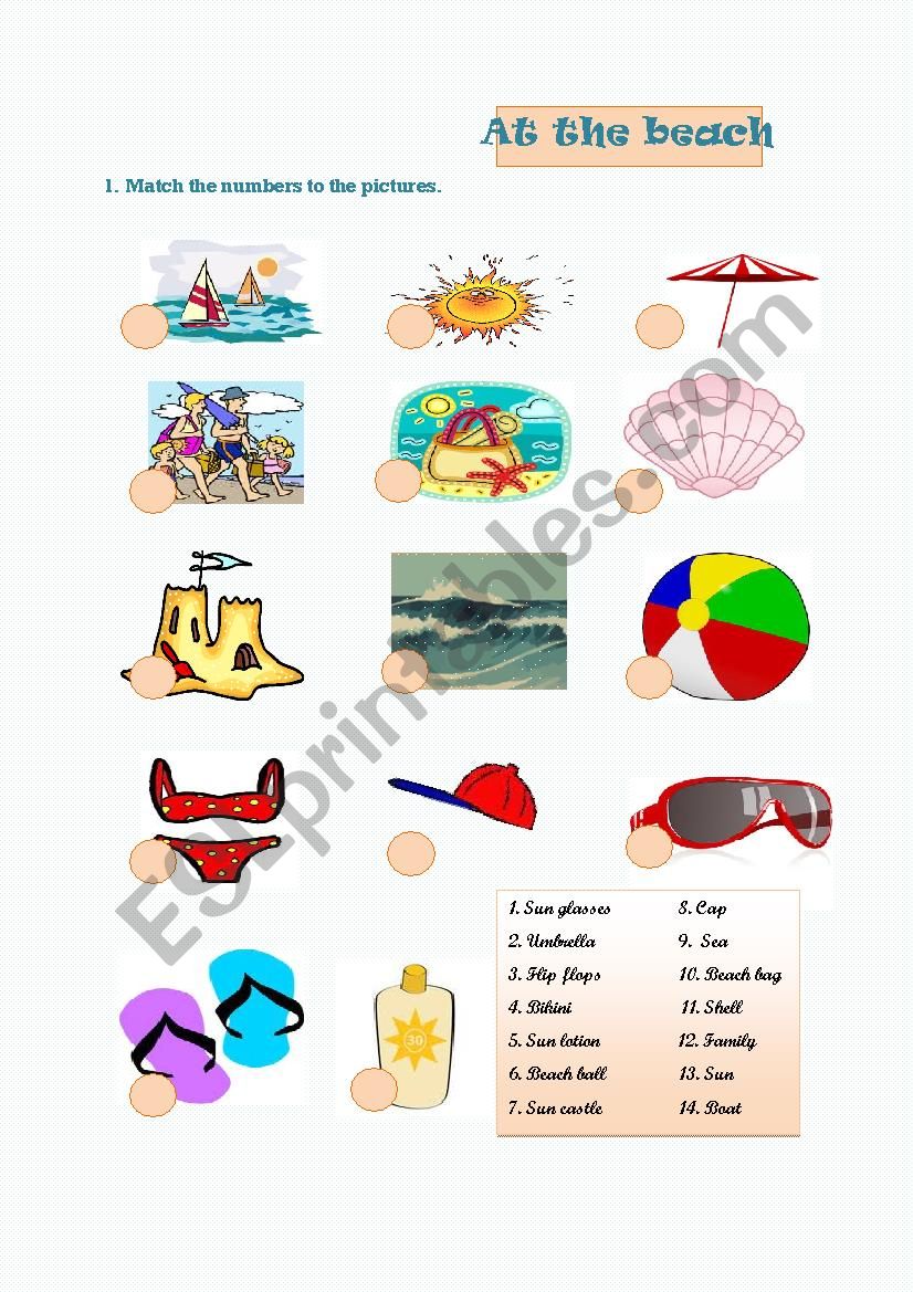 at the beach worksheet