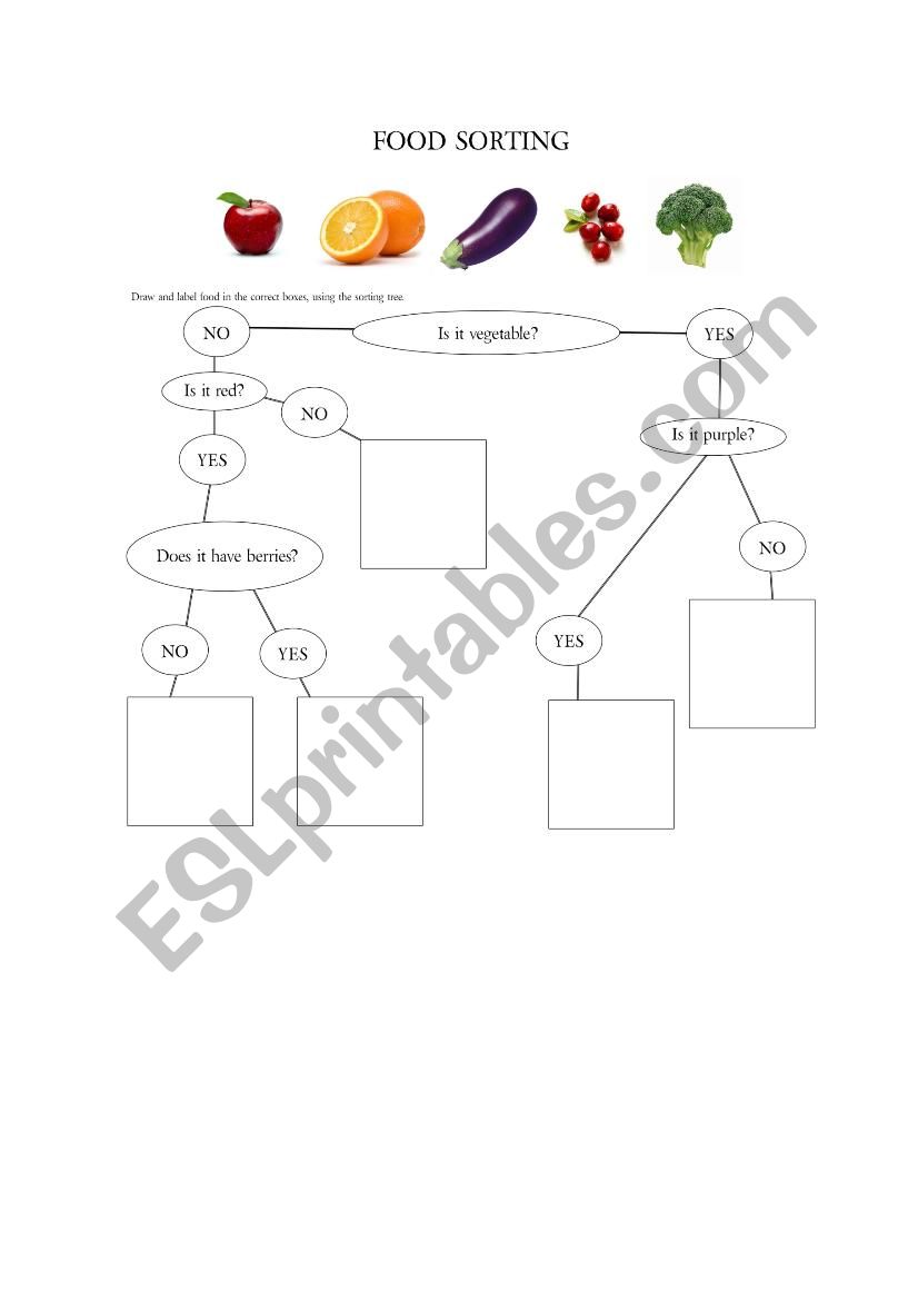 FOOD SORTING worksheet