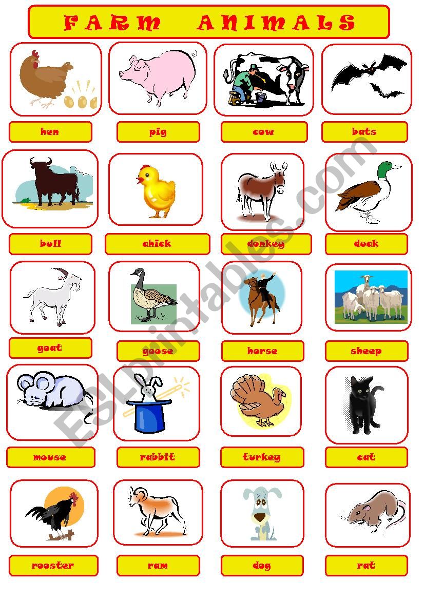 FARM ANIMALS worksheet