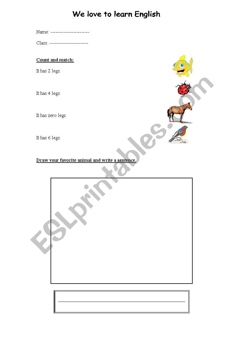 animals worksheet