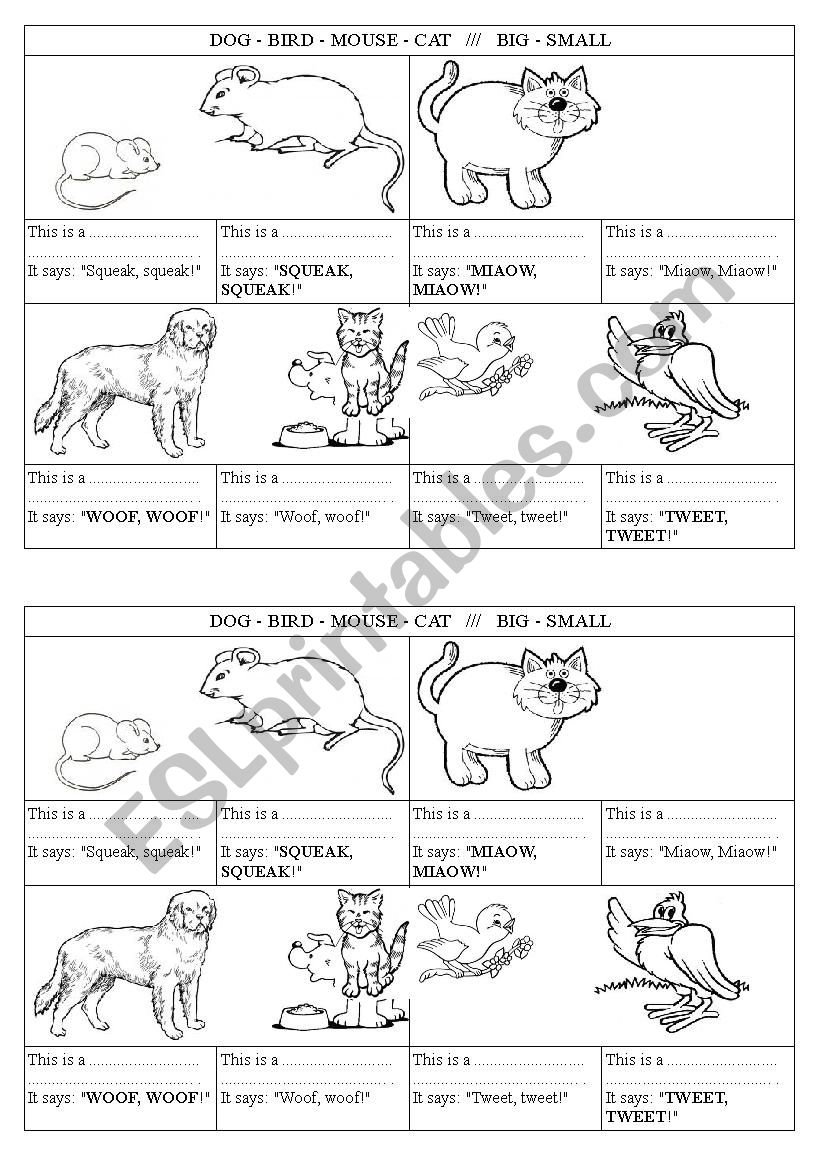The animals say... worksheet