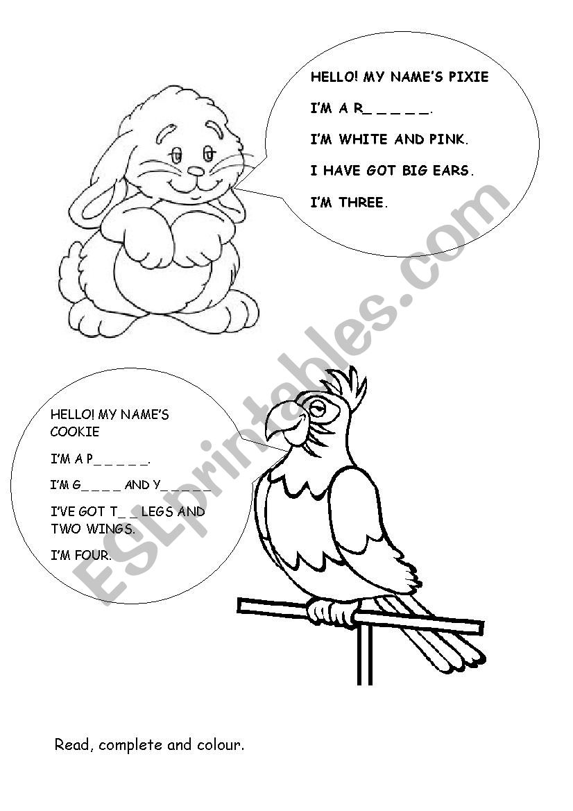 Pets worksheet