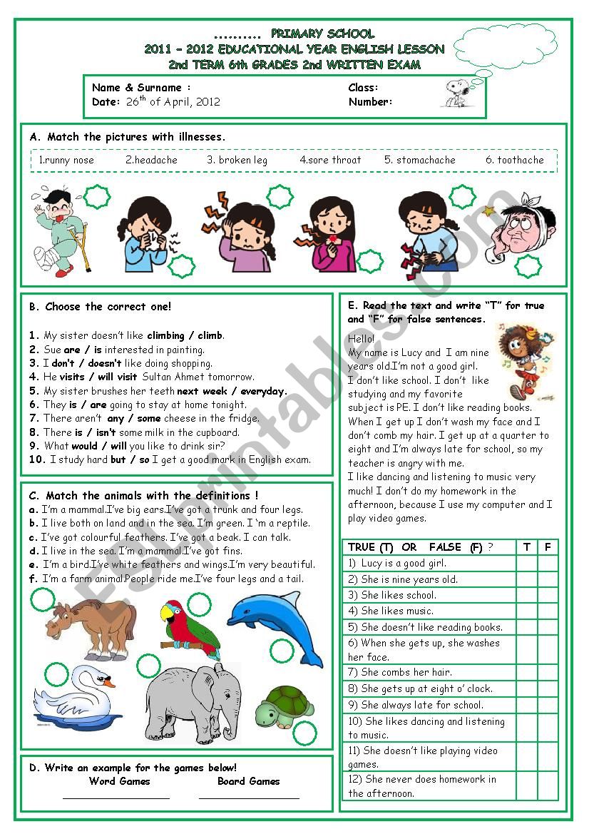 6th grades 2nd term exam worksheet