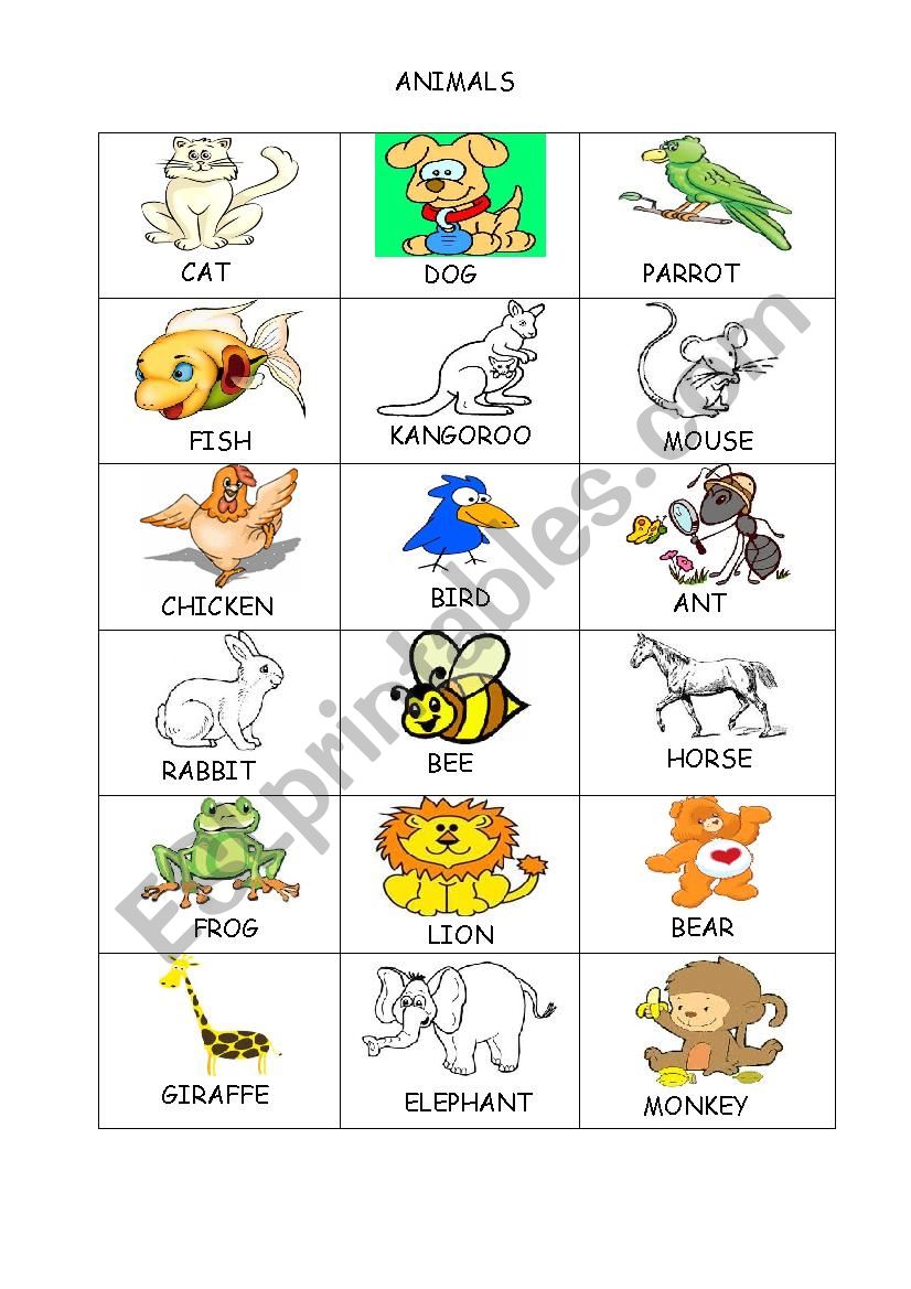 Animals worksheet