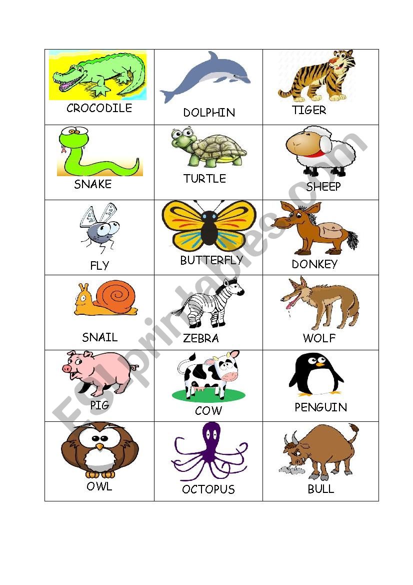 Animals2 worksheet