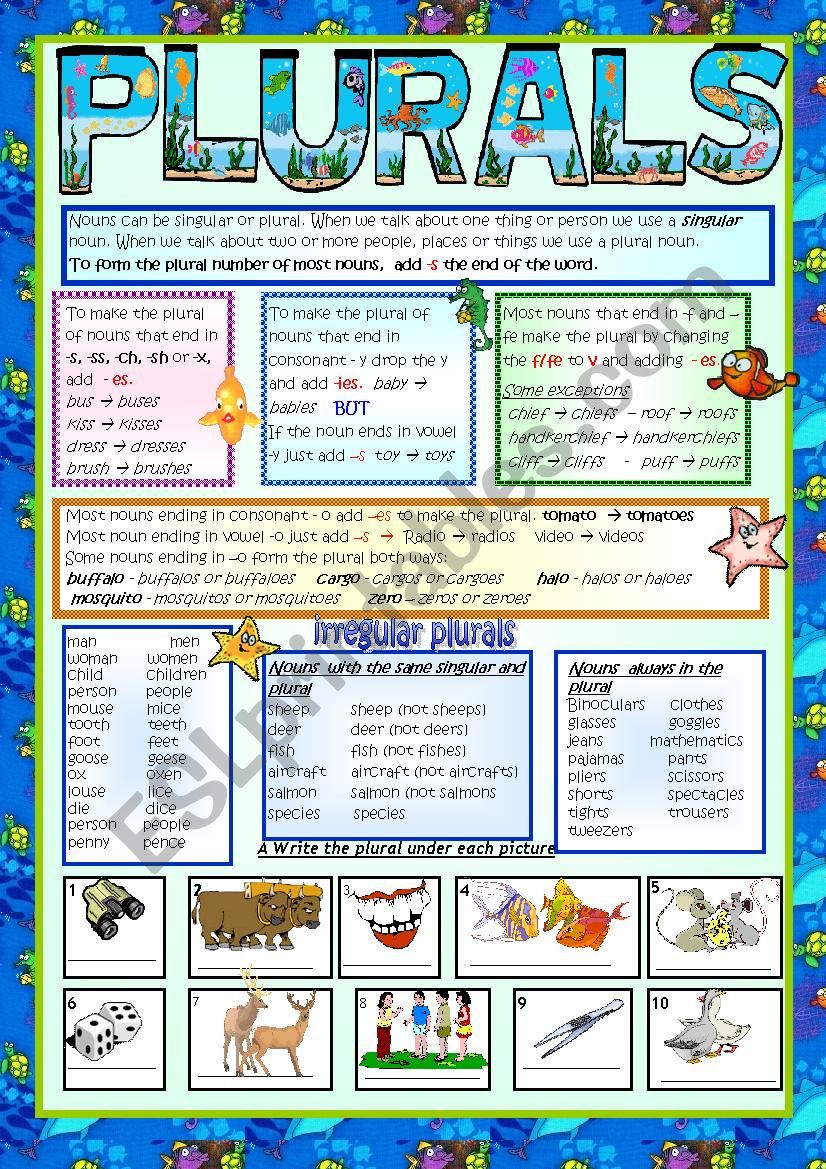 PLURALS worksheet