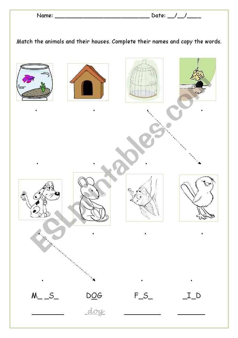 Pets worksheet