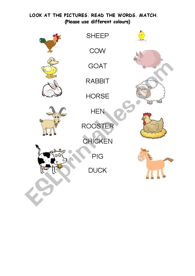 LOOK AT THE FARM ANIMALS. MATCH