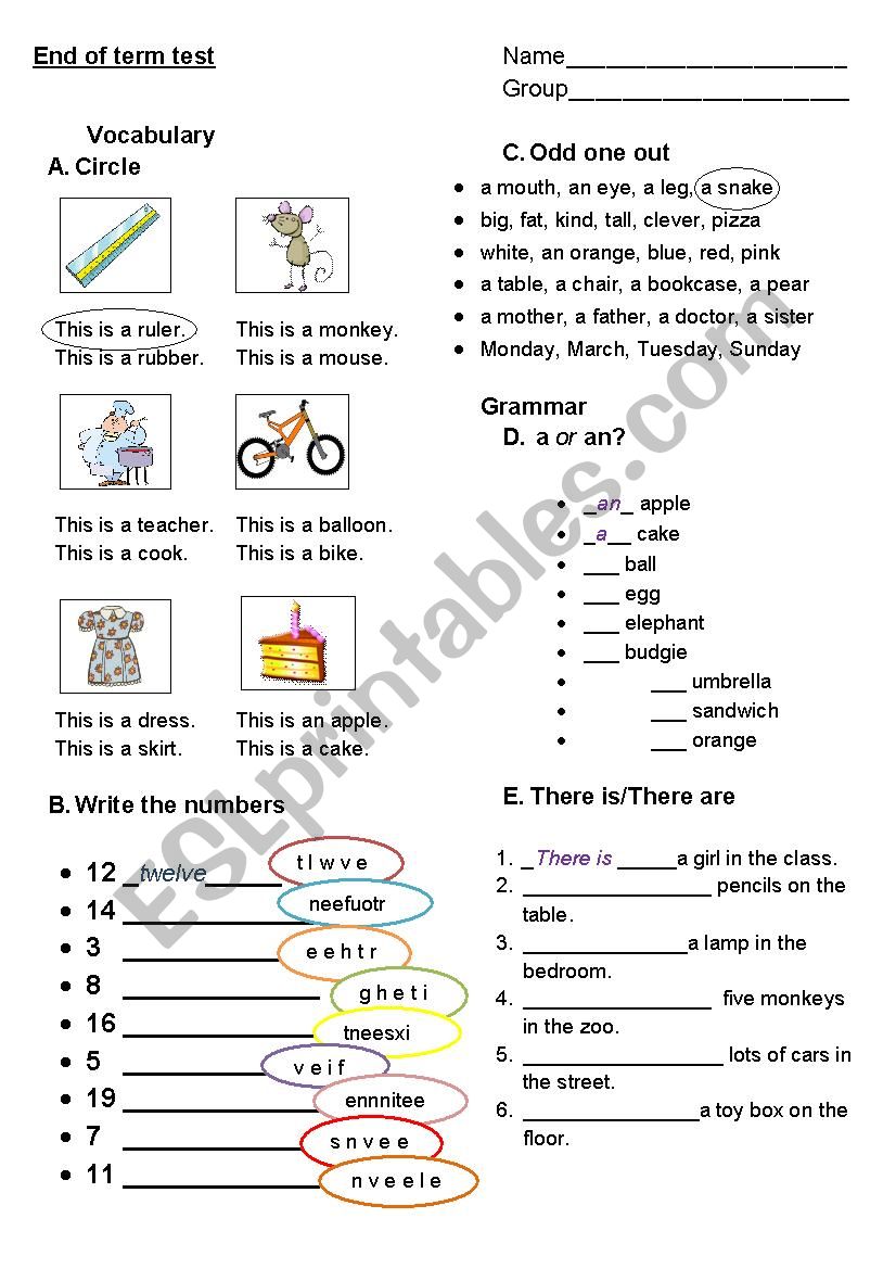 End of Term Test worksheet