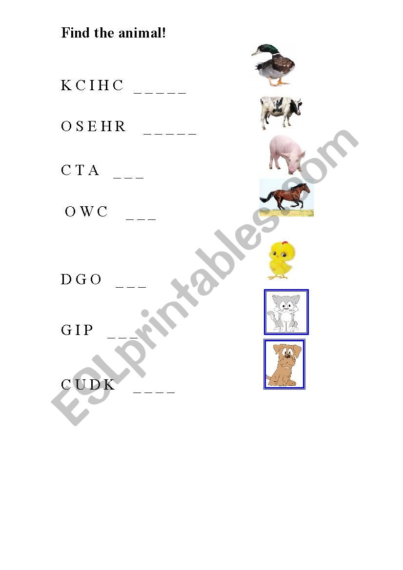 domestic animals worksheet