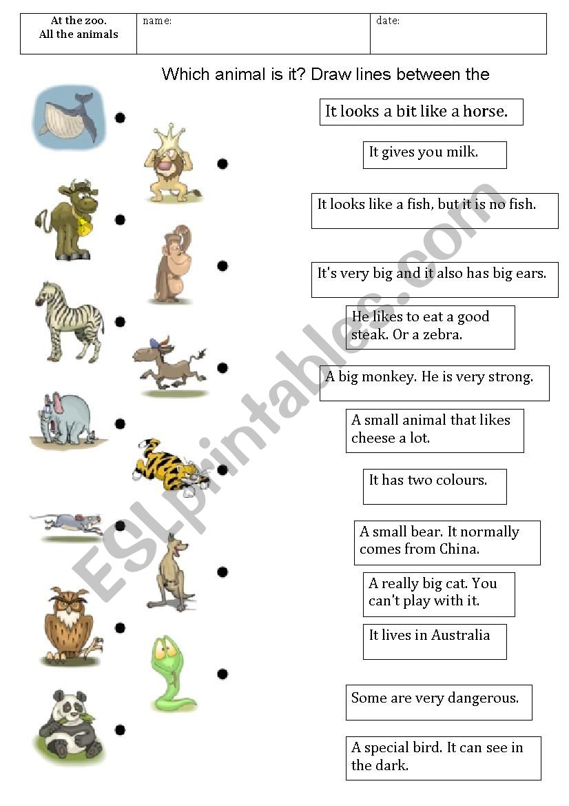 Match the animals worksheet