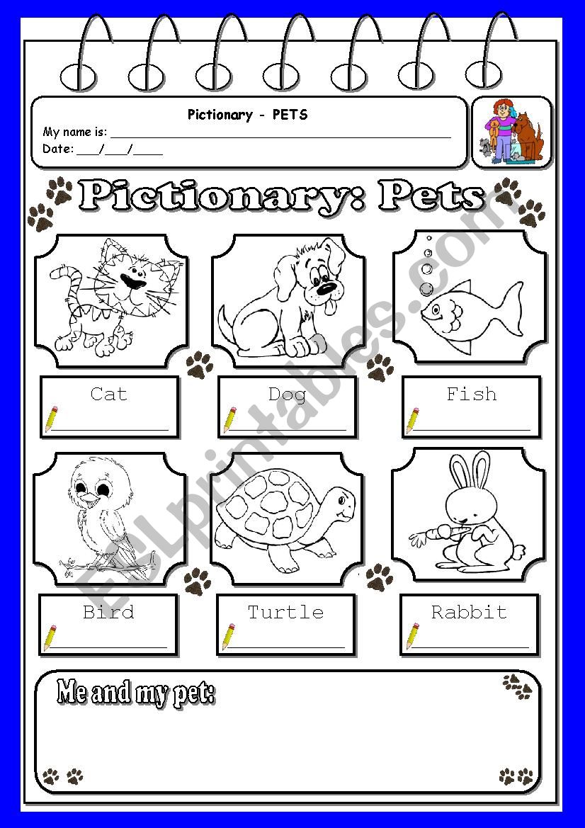 Pets pictionary worksheet