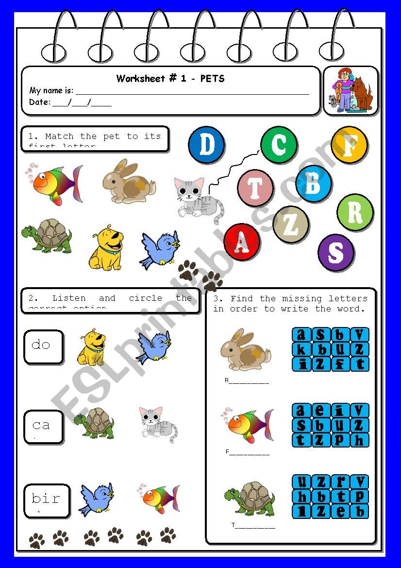 Worksheet - pets worksheet