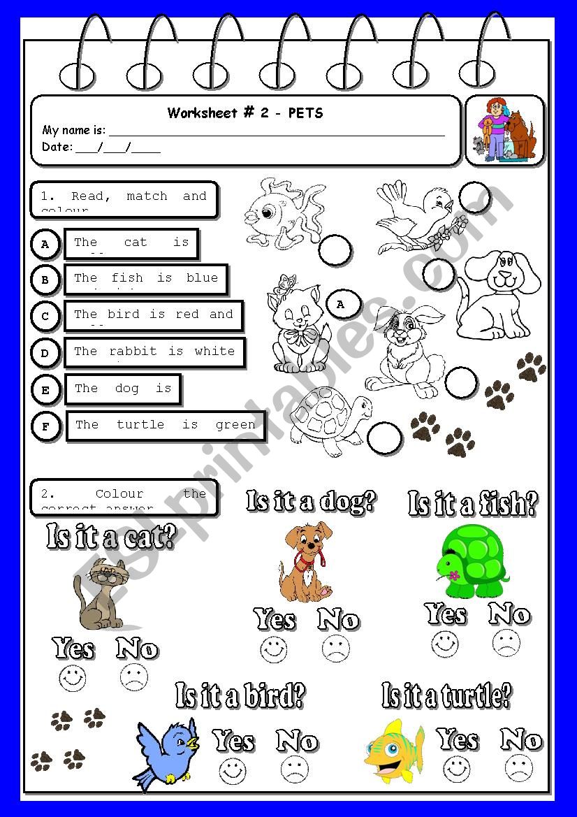 Worksheet - pets & colours worksheet