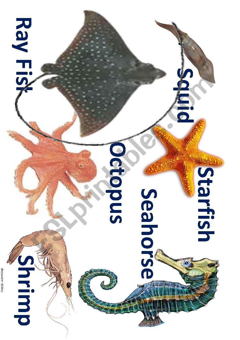 Sea animal 2 worksheet