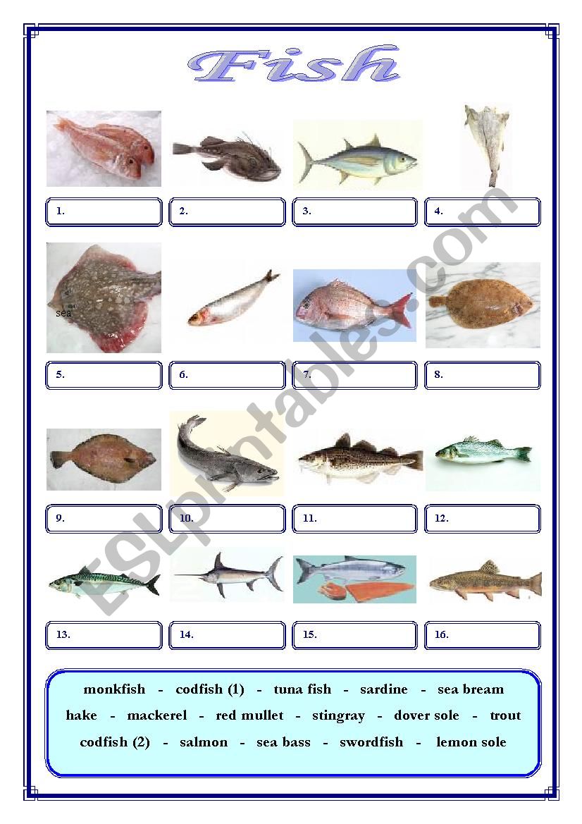 Fish worksheet