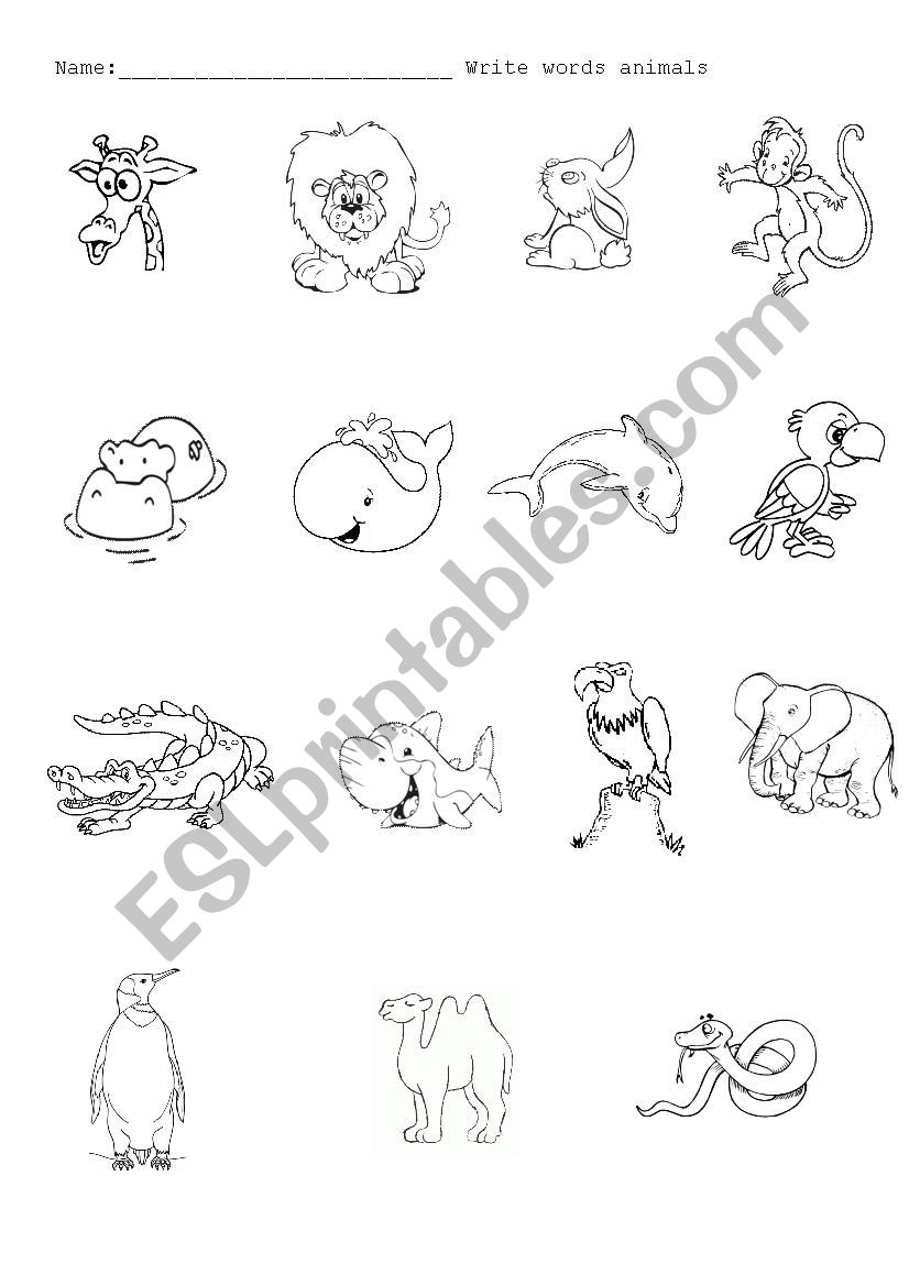 wild animals worksheet