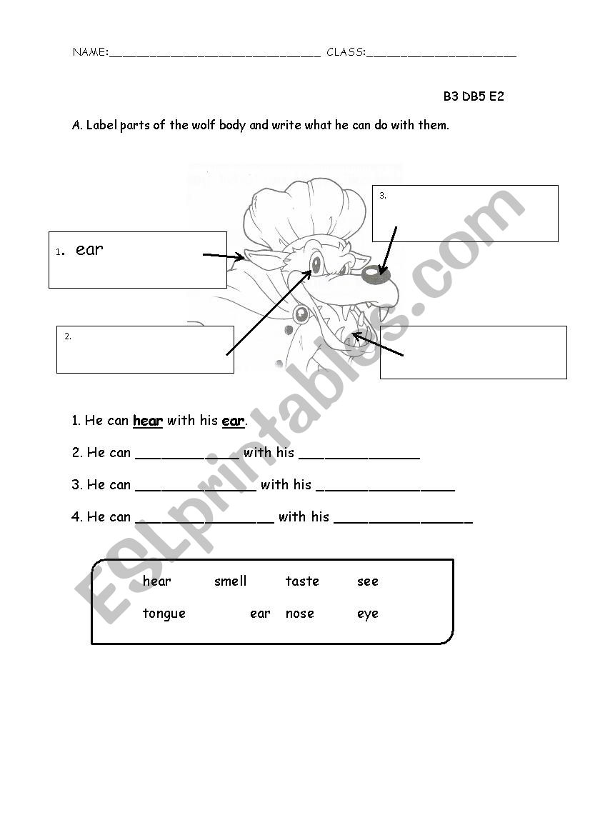 red riding hood  worksheet