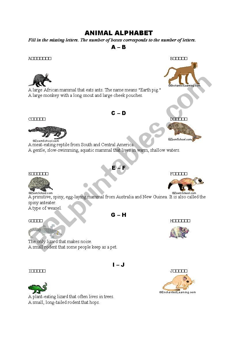 English worksheets: Animal Alphabet