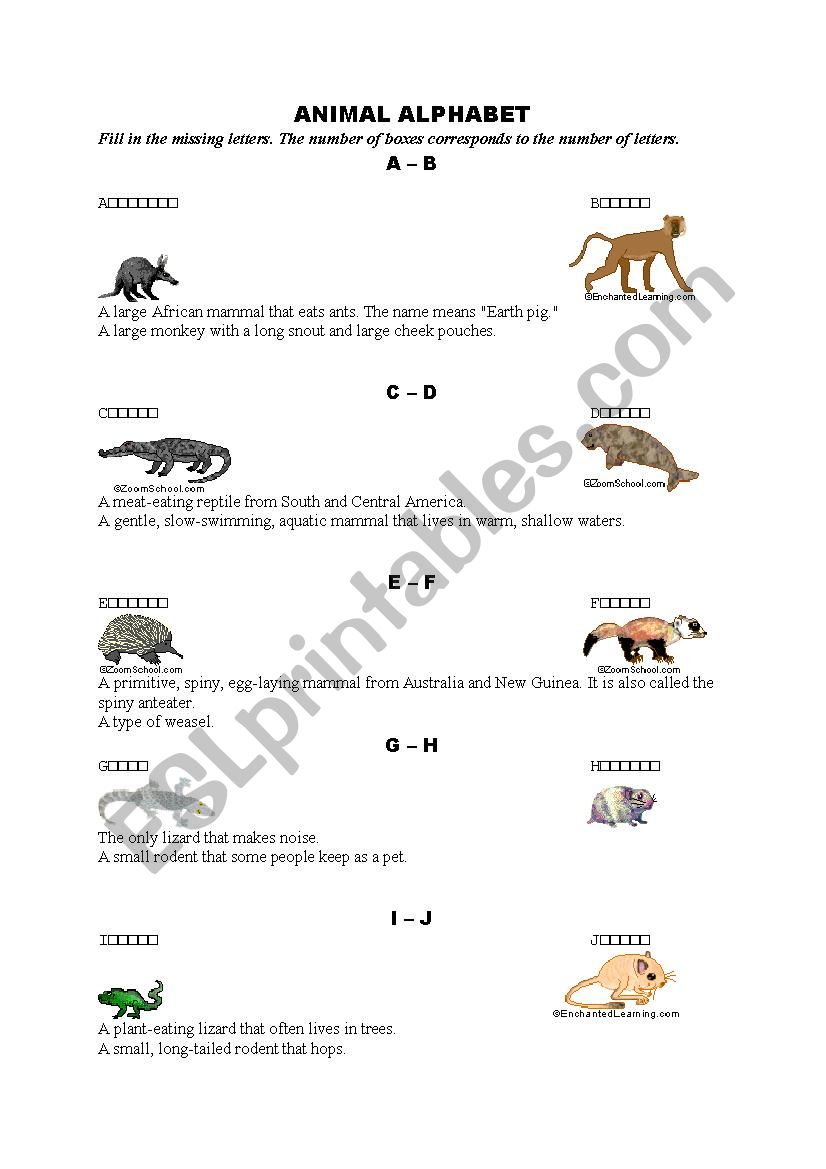 Animal Alphabet worksheet