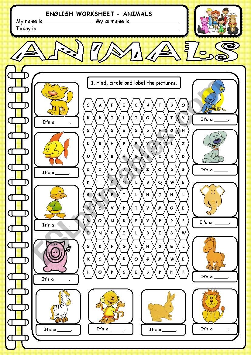 Worksheet - Animals worksheet